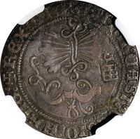 SPAIN Ferdinand V &Isabella I Silver (1497-1504) P 1 Real SEGOVIA NGC VF DETAILS