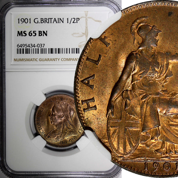 Great Britain Victoria Bronze 1901 1/2 Penny NGC MS65 BN TOP GRADED KM# 789 (37)