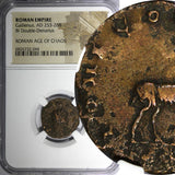 ROMAN.Gallienus AD 253-268  BI Double-Denarius / Rev. Bearded Goat  NGC (044)