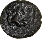 SICILY Italian states William II (1166-1189) AE 1 Follaro Lion Biaggi-1232 (39)