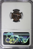 Roman Constantinian Nummus AD 330-340 Roma/She-Wolf & Twins  NGC XF (104)