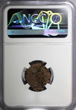 ROMANO-GALLIC Tetricus II AD 274 BI Double Denarius/Salus Health Goddes NGC (4)