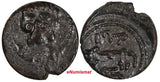 SICILY Italian states William II (1166-1189) AE 1 Follaro Lion Biaggi-1232 (454)