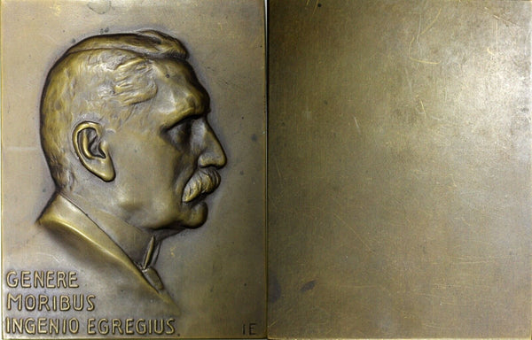 AUSTRIA Medal Bronze Plaque 129,15g. 55 x 71mm Genere Moribus Ingenio Egregius