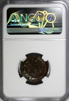 Russia Catherine II Copper 1795 EM Denga NGC XF DETAILS C# 56.2 (004)
