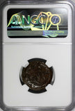 Russia Catherine II Copper 1795 EM Denga NGC XF DETAILS C# 56.2 (004)
