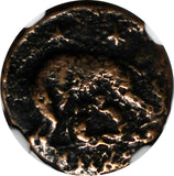 ROMAN Constantinian Dynasty AE3/4 Nummus AD 330-340 / She-Wolf &Twins NGC (116)