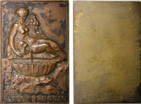 AUSTRIA Bronze City Vienna Medals.Plaque by A. Hofmann.Schönbrunn Park 40x60 mm