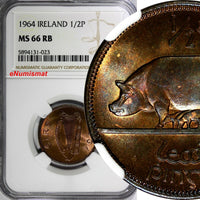 Ireland Republic Bronze 1964 1/2 Penny NGC MS66 RB TOP GRADED BY NGC KM# 10(023)