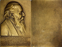 AUSTRIA Medal Bronze Plaque 1925 by L.Hujer.Anton Viktor Felgel-Farnholz 45x68mm