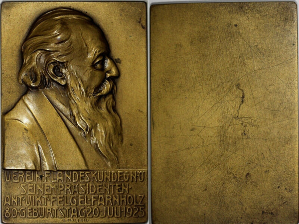 AUSTRIA Medal Plaque 1925 by L.Hujer  Anton Viktor Felgel-Farnholz 81.88 g.