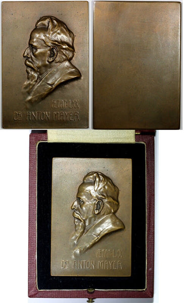 AUSTRIA Bronze Medal Plaque 1908 by Bachmann. Dr. Anton Mayer historian  48x71mm