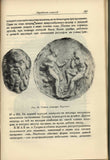 Hellenistic technique. by Academician I.I. Tolstoy Russian Text 1948 Greece Hist