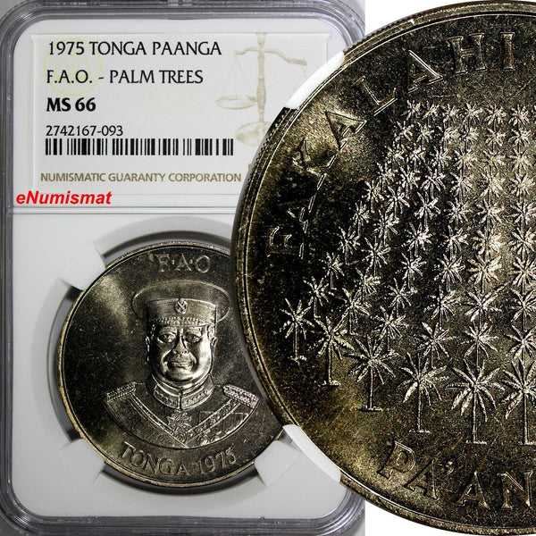 Tonga 1975 1 Pa'anga  FAO - PALM TREES NGC MS66 Mintage-13,000 TOP GRADED KM# 48